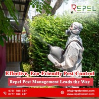 Fumigation Services in Nairobi
